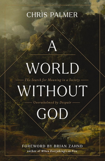 A World Without God: The Search for Meaning in a Society Overwhelmed by Despair - CHRIS PALMER