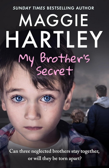 My Brother's Secret: The true, heartbreaking story of three neglected brothers. Can they remain together or will they be torn apart? - MAGGIE HARTLEY