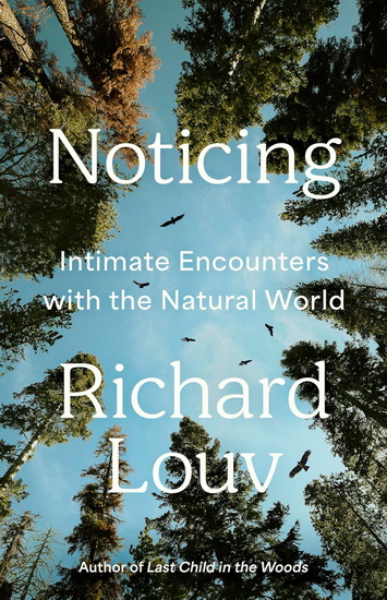 Noticing: Intimate Encounters With the Natural World - RICHARD LOUV