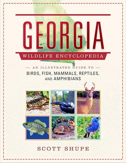 Georgia Wildlife Encyclopedia - SCOTT SHUPE