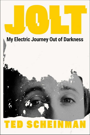 Jolt - TED SCHEINMAN