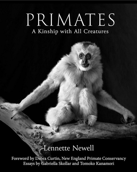 Primates - LENNETTE NEWELL