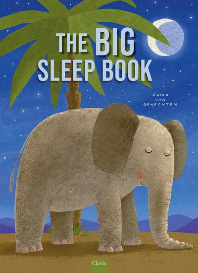 Big Sleep Book - GUIDO VAN GENECHTEN