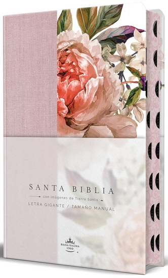 RVR 1960 Tamaño manual Letra gigante Tela con Flores rosadas, Canto pintado e índice / Spanish Bible RVR 1960 Giant Print, Pink Leathersoft with Flowers wi - COLLECTIF