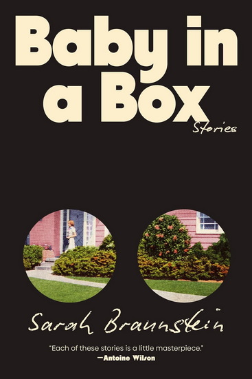 Baby in a Box - SARAH BRAUNSTEIN
