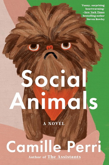 Social Animals - CAMILLE PERRI
