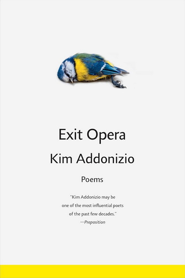 Exit Opera - KIM ADDONIZIO