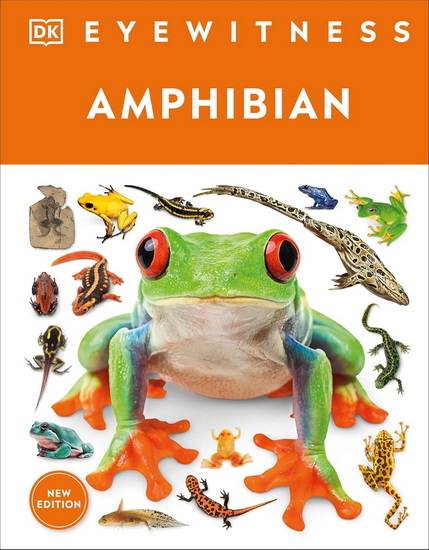 Eyewitness Amphibian - COLLECTIF