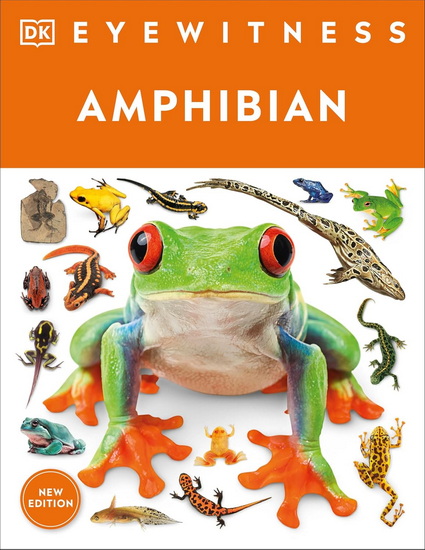 Eyewitness Amphibian - COLLECTIF