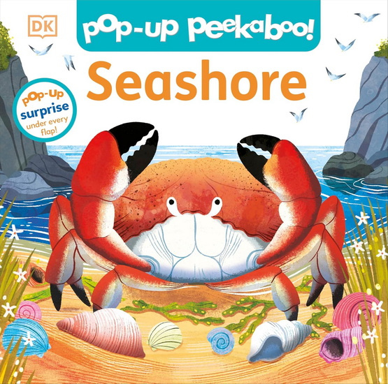 Pop-Up Peekaboo! Seashore - COLLECTIF