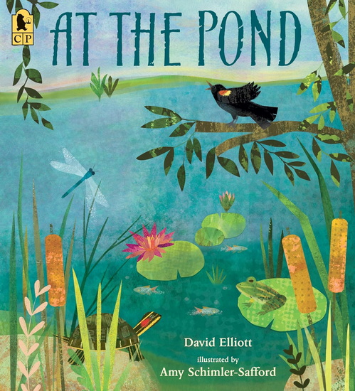 At the Pond - DAVID ELLIOTT - AMY SCHIMLER-SAFFORD
