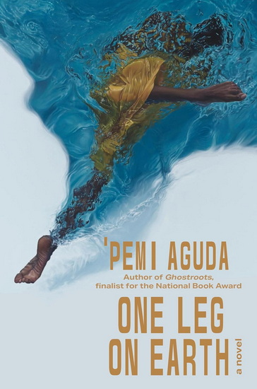 One Leg on Earth - PEMI AGUDA