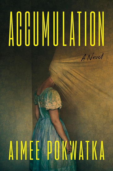 Accumulation - AIMEE POKWATKA