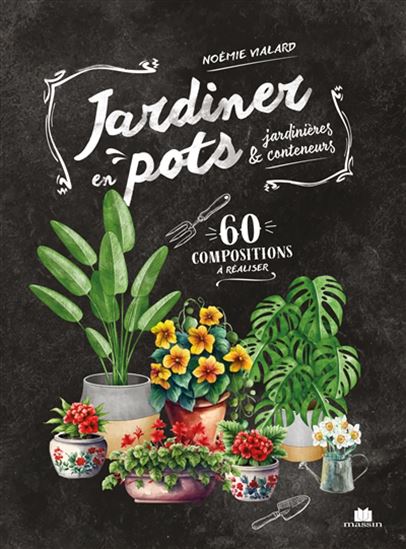 Jardiner en pots : jardinières & conteneurs : 60 compositions à réaliser - NOÉMIE VIALARD