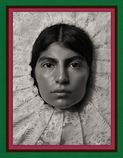 Pieter Henket: Birds of Mexico City - PIETER HENKET