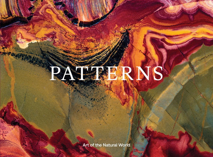 Jon McCormack: Patterns: Art of the Natural World - JON MCCORMACK