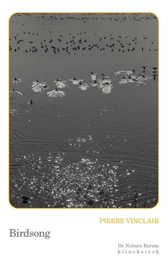 Birdsong - PIERRE VINCLAIR