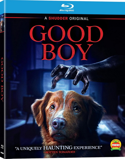 Good Boy (Blu-ray) - BEN LEONBERG