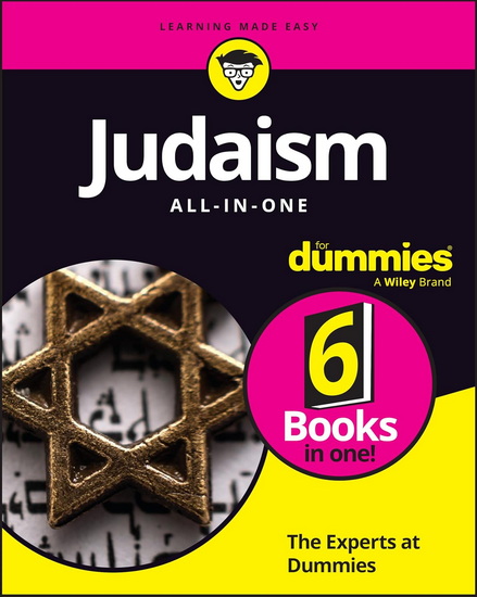 Judaism All-In-One For Dummies - COLLECTIF