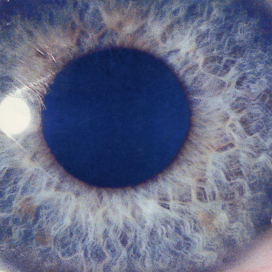 Moontower (Re-Issue) (Limited Deluxe)(2CD) - DAN SWANÖ