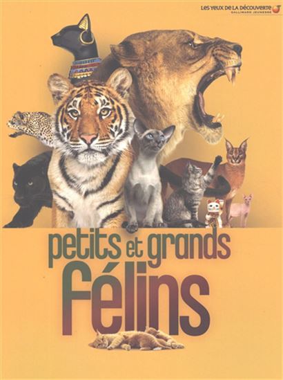 Petits et grands félins N. éd. - JULIET CLUTTON-BROCK