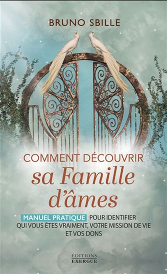 Comment découvrir sa famille d'âmes ? : manuel pratique pour identifier qui vous êtes vraiment, votre mission de vie et vos dons - BRUNO SBILLE