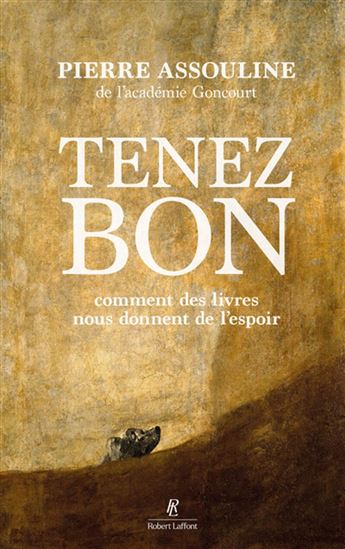 Tenez bon : comment des livres nous donnent de l'espoir - PIERRE ASSOULINE
