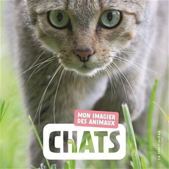 Chats : mon imagier des animaux - COLLECTIF