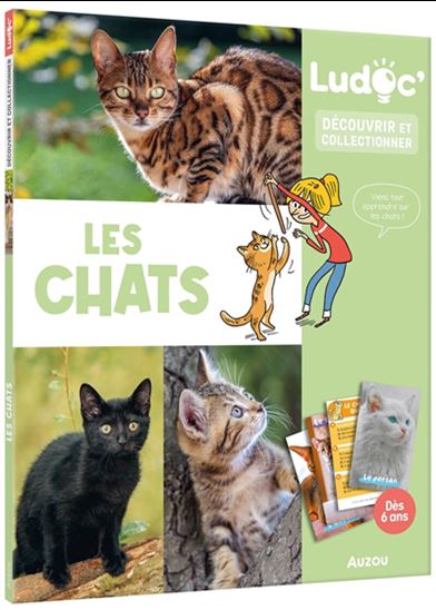 Les Chats - ANOUK JOURNO-DUREY - LAURENT AUDOIN