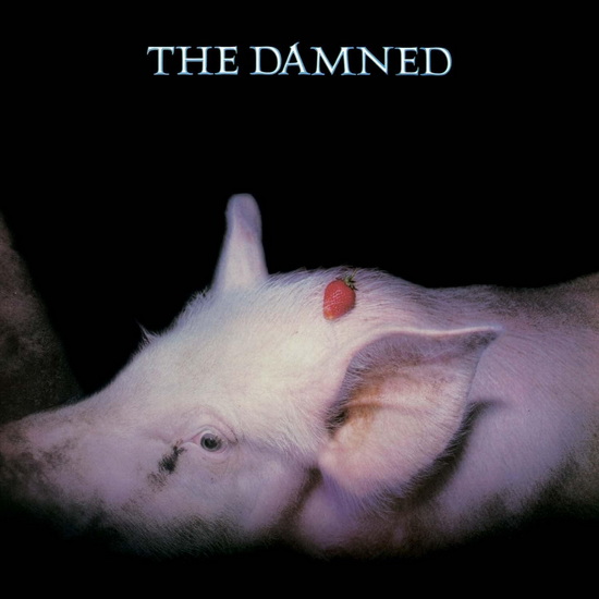 Strawberries - THE DAMNED