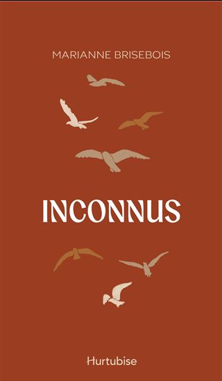Inconnus - MARIANNE BRISEBOIS