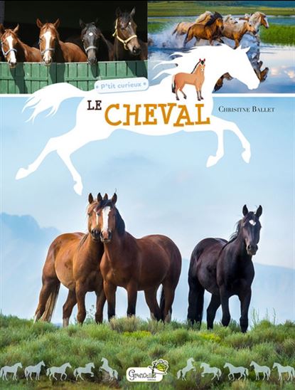 Le Cheval N. éd. - CHRISTINE BAILLET