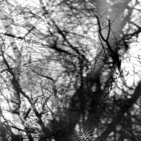 Way Their Crept (Vinyle) - GROUPER