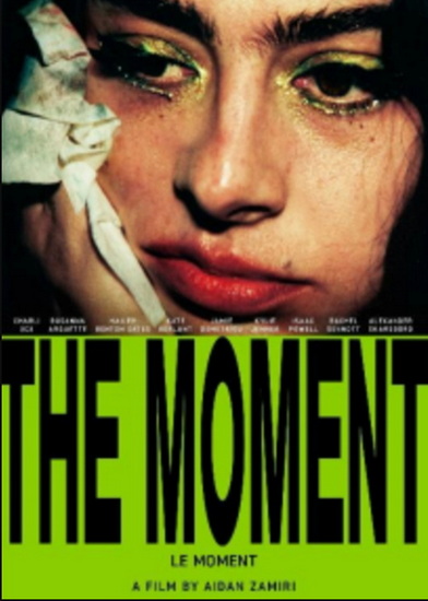 The Moment (Blu-ray) - AIDAN ZAMIRI