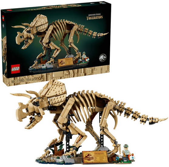 Les fossiles de dinosaures : le tricératops