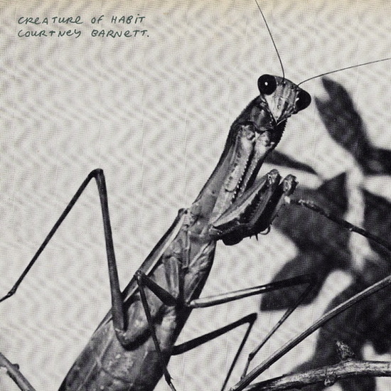 Creature of Habit - COURTNEY BARNETT