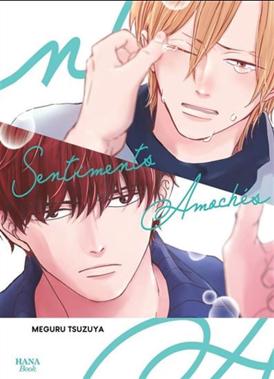Sentiments amochés - MEGURU TSUZUYA