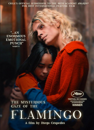 The Mysterious Gaze of the Flamingo