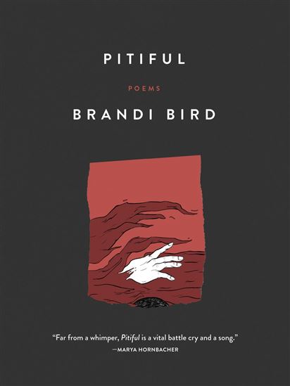 Pitiful - BRANDI BIRD