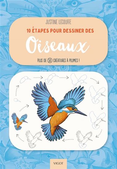 10 étapes pour dessiner des oiseaux : plus de 50 créatures à plumes ! - JUSTINE LECOUFFE