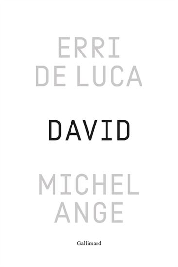 Michel-Ange - ERRI DE LUCA