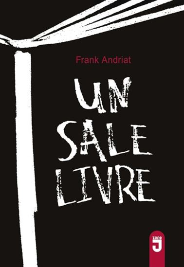 Un sale livre - FRANK ANDRIAT