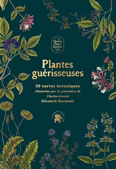 Plantes guérisseuses : 50 cartes botaniques illustrées par la pionnière de l'herboristerie Cof. - ELIZABETH BLACKWELL