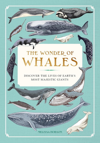 The Wonder of Whales : Discover the Lives of Earth's Most Majestic Giants - MELISSA HOBSON