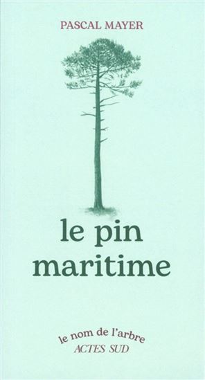 Le Pin maritime N. éd. - PASCAL MAYER - FABIEN SEIGNOBOS