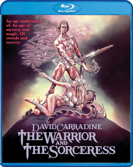 The Warrior and the Sorceress (Blu-ray) - JOHN C BRODERICK