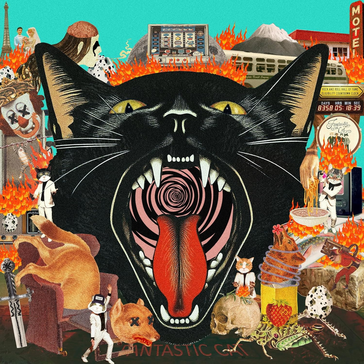 Cat Out Of Hell - FANTASTIC CAT