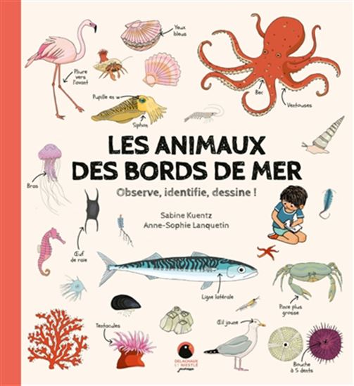 Les Animaux des bords de mer : observe, identifie, dessine ! - SABINE KUENTZ - ANNE-SOPHIE LANQUETIN