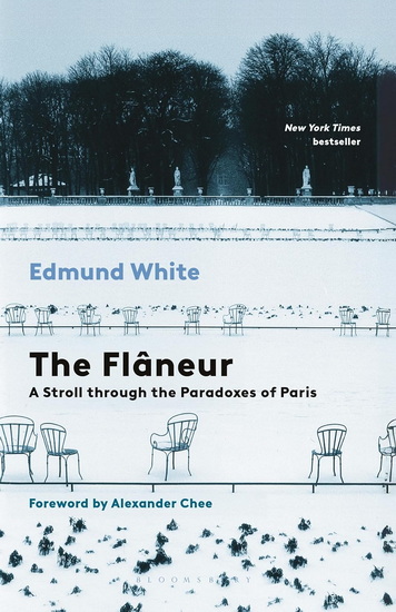 The Flaneur - EDMUND WHITE