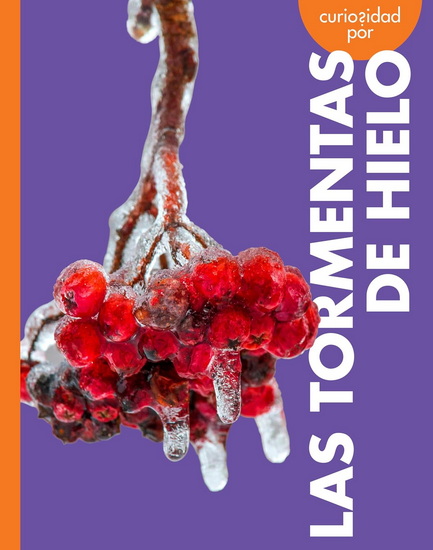 Curiosidad por las tormentas de hielo - DEBORAH SCIGLIANO